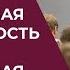 Финансовая независимость и финансовая свобода Путь к финансовой свободе от финансовой независимос