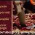 Реклама пиццы созданная нейросетью Pizza Advertisement Created By A Neural Network Orangedognews