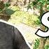 ARTHUR FORD In Gorilla Tag VR