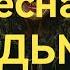 ЛЕСНАЯ ВЕДЬМА Страшные истории на ночь Айгуль Малахова Читают Денис Тимофеев Кристина Анисимова