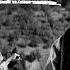 THE OUTLAWS 1966 By Dinu Cocea Historical Movie Online On CINEPUB