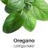 Oregano Pronunciation English Phonetic Transcription Plural Form Herbs Vocabulary Playlist