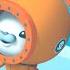 Octonauts Team Ocean Research Cartoons For Kids Underwater Sea Education