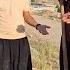 Thanks For The Creativity Amazing Reactions To The Ideas Of Professor Mohammad And Akbar