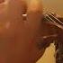 Iron Maiden Fear Of The Dark Guitar Solo On Violin