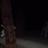 The Rake Found Footage