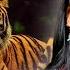 Лео Рохас Лучшее The Best Of Leo Rojas Leo Rojas Sus Exitos 2022 Pan Flute Collection