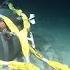 Coast Guard Releases Remotely Operated Vehicle Footage From Titan Submersible Salvage