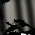 Big Data Dangerous Cover
