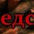 Соседство Страшные истории на ночь Страшилки на ночь