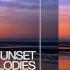 Sunset Melodies With Alex H 025 Guest Mix Roald Velden 24 January 2015