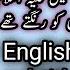 Sir Or Darhi K Baal Rangna English Subtitle Engineer Muhammad Ali Mirza Dye Beard Imamhusain