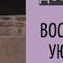 навожу красоту в доме после потопа средство от пауков масло с зеленью