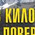 СПАСЕНИЕ ИЗ ПЕЩЕРЫ РИЗЕНДИНГ В дикой природе 14