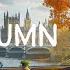 London S Autumn Morning Deep Focus Relax Study Work Concentration Chill Lo Fi Hip Hop Beats