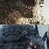 Minus One X LEGENDARY Comparasion Godzilla Kongvsgodzillaedit Edit Godzillaedit Kaiju Godzila