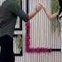 Malang Sajna Malangsajna Coupledance Shorts Dance Trending