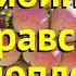 Рябина моравский Крупноплодная Краткий обзор описание Sorbus Moravskaja Krupnopłodnaja