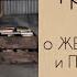 Книги ЖЕНСКОЙ энергии Раскрытие своего женского ПОТЕНЦИАЛА и ПРЕДНАЗНАЧЕНИЯ