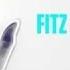 Fitz And The Tantrums Run It Official Audio