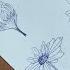 How To Draw 6 Different Daisy Flower Perspectives Step By Step Tutorial For Beginners