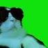 DJ Cat Meme Green Screen Chroma Key Template