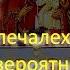 Рождественский пост День иконы Богородицы В скорбех и печалех Утешение Молитва невероятной силы