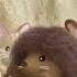 Мультфильм Sylvanian Families Кто самый быстрый