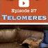 27 Telomeres Meritocracy Autism Plasticity Robert Sapolsky Father Offspring Interviews