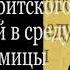 Мариинино стояние Покаянный канон св Андрея Критского полностью Житие преп Марии Египетской