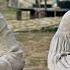 Case Depart Rich Man Imprisoned In 1850 When Black People Are Still Slaves Case Depart Recaps