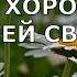 Мы хороним детей своих Стих