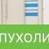 Первые признаки опухоли головного мозга как выявить Первые признаки опухоли головного мозга 12