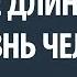 Влияние длины волос на жизнь человека Александр Палиенко