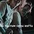 Мы для них котёнки Dracomalfoy Malfoy Weasley подпишисьঞ