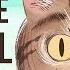 Why Do Cats Have Vertical Pupils Emma Bryce