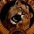 Metro Goldwyn Mayer 1995