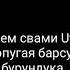 Попугай барсук мышь крыса бурундук песня