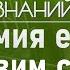 Как правильно приготовить мягкое мясо с ярким вкусом Лекция химика Валентина Новикова