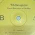 Vinyl Mix Whitesquare Visual Distortion Of Reality LIFE AND DEATH Blue Vinyl