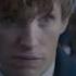 Фантастические твари и где они обитают Fantastic Beasts And Where To Find Them 2016