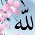 Allah Hi Allah Hiya Kero