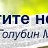 Берегите нервы Голубин Михаил Проповедь МСЦ ЕХБ