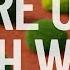 Bad Mulch The BEST Mulches How To Use Them