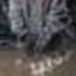 2pac GHOST