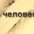 Кто создал человека и зачем СЛОЖНЫЕ ЗАГАДКИ ТВ документальные фильмы