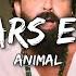 ANIMAL ABRAR S ENTRY JAMAL KUDU Lyrics 4K BOBBY DEOL