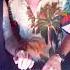 C Bass X Pinamusic Boutique Aruba 2025