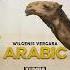 Wilgenis Vergara Arabic Original Mix Afrohouse Arabic