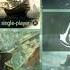 Assassin S Creed Black Flag Main Menu Screen